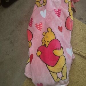 Disney Winnie the Pooh blanket.